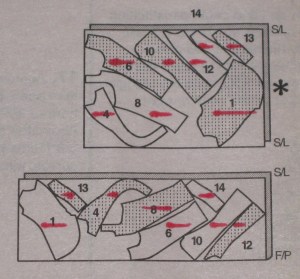 Bias layout - grainlines parallel to selvage.